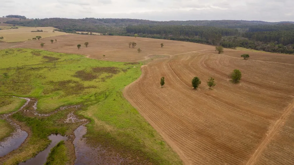 Fazenda, 194 hectares - Foto 8
