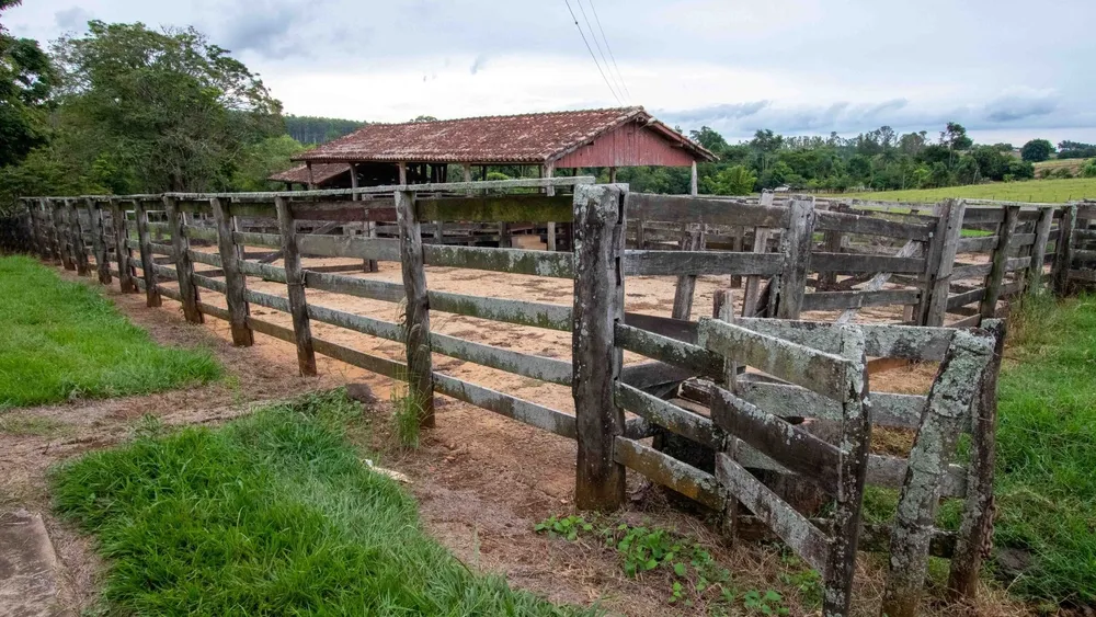 Fazenda, 194 hectares - Foto 11
