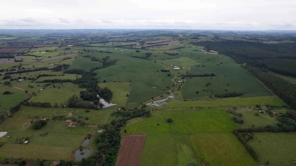Fazenda, 194 hectares - Foto 9