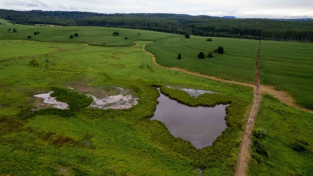 Fazenda, 194 hectares - Foto 2