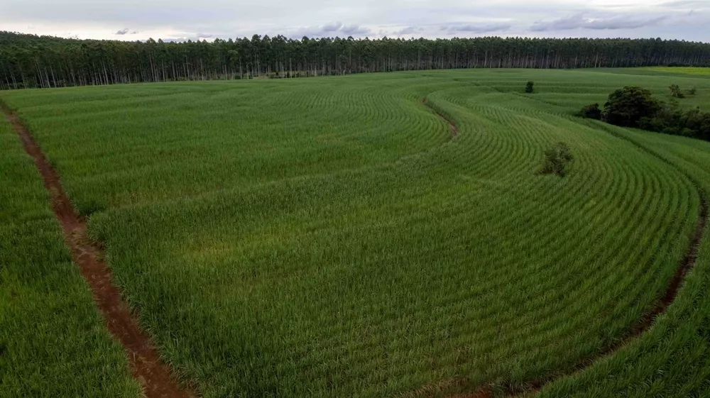 Fazenda, 194 hectares - Foto 2