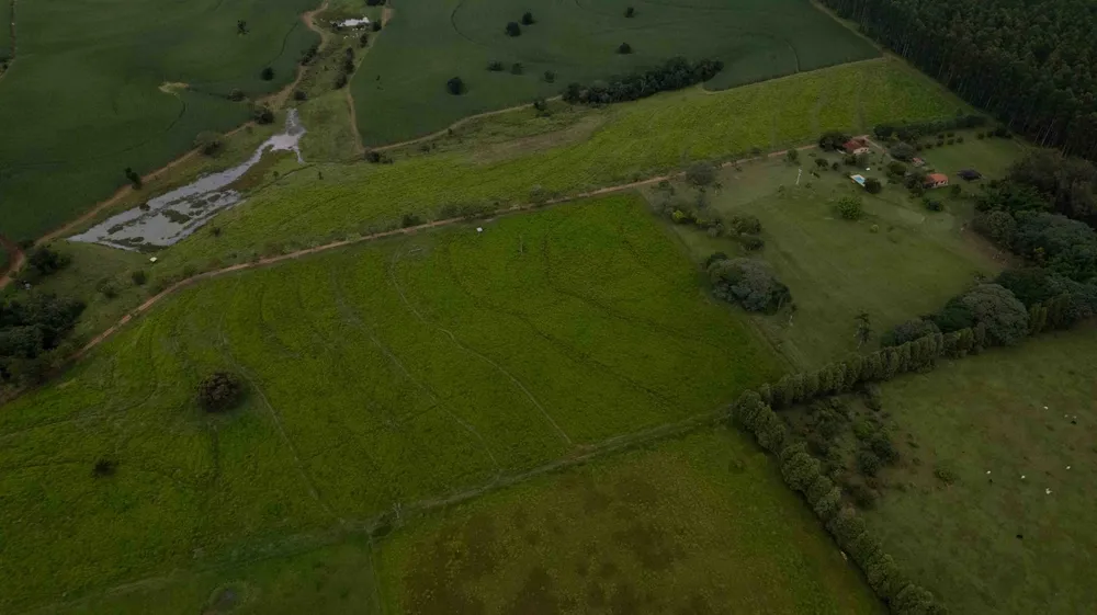Fazenda, 194 hectares - Foto 10