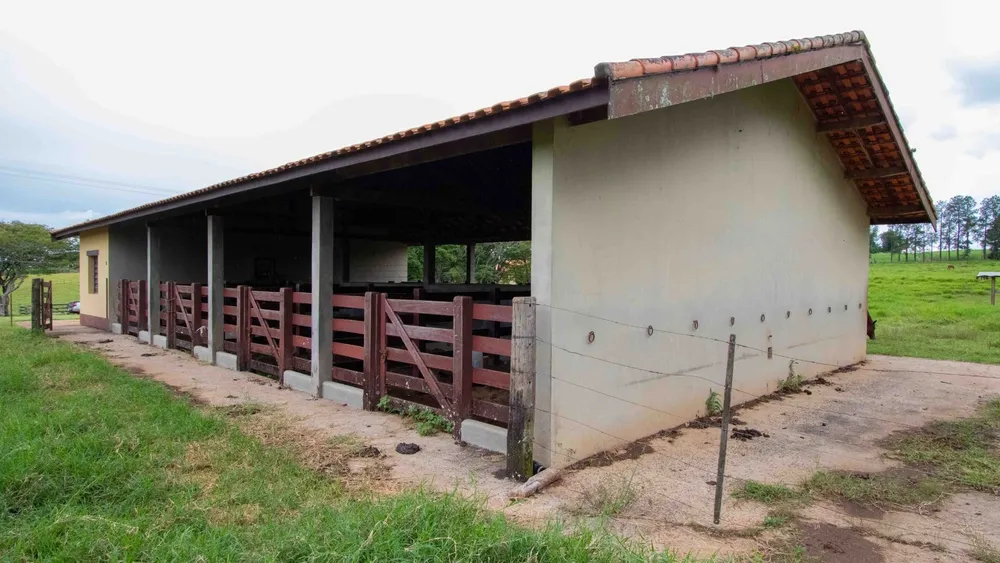 Fazenda, 194 hectares - Foto 12