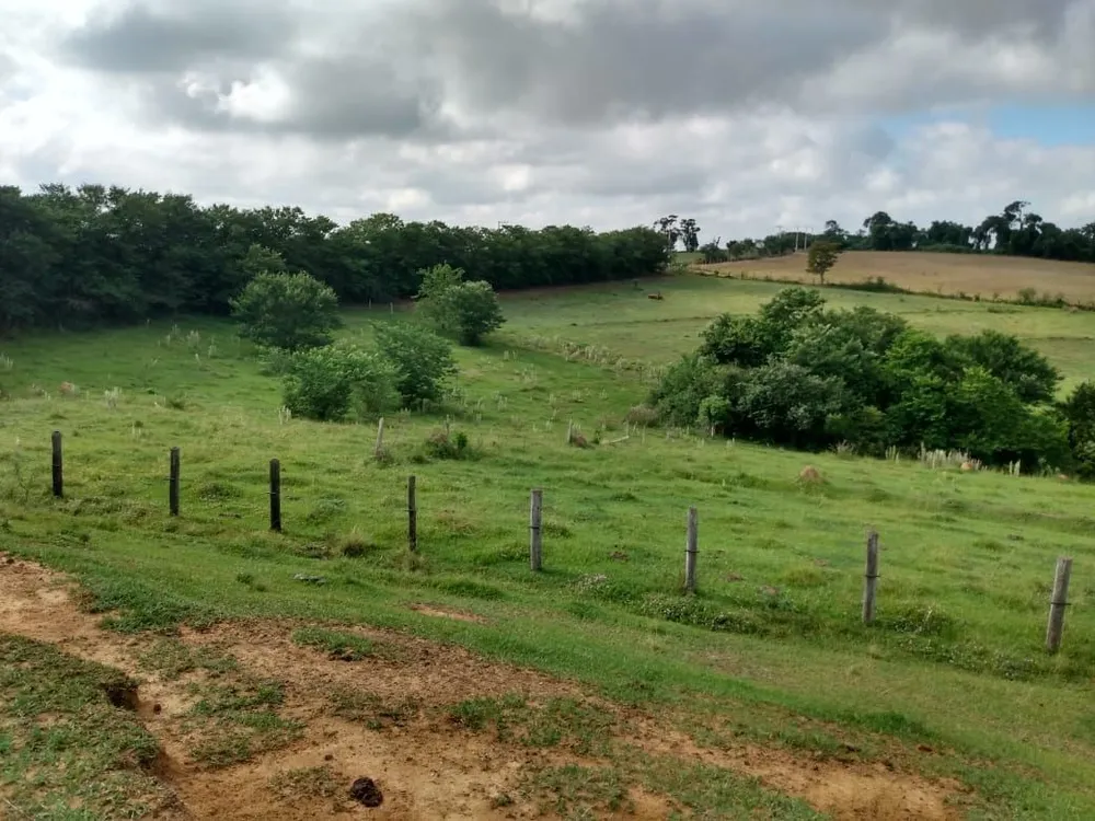 Sítio, 1 quarto, 46 hectares - Foto 13
