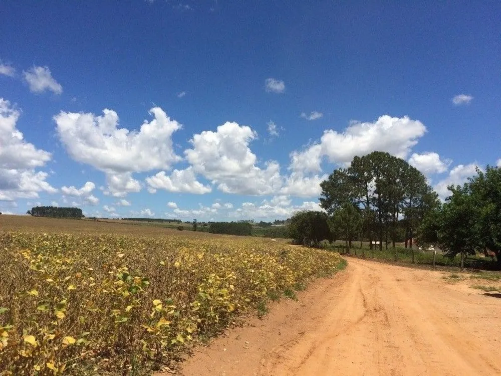 Fazenda, 125 m² - Foto 6