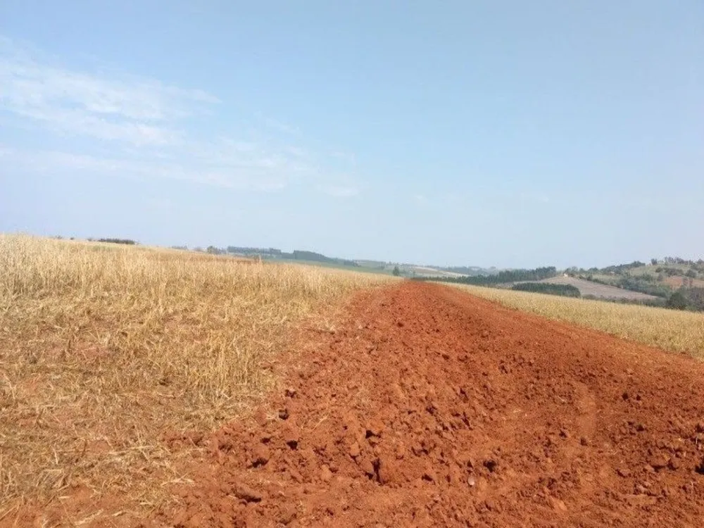 Fazenda, 125 m² - Foto 4