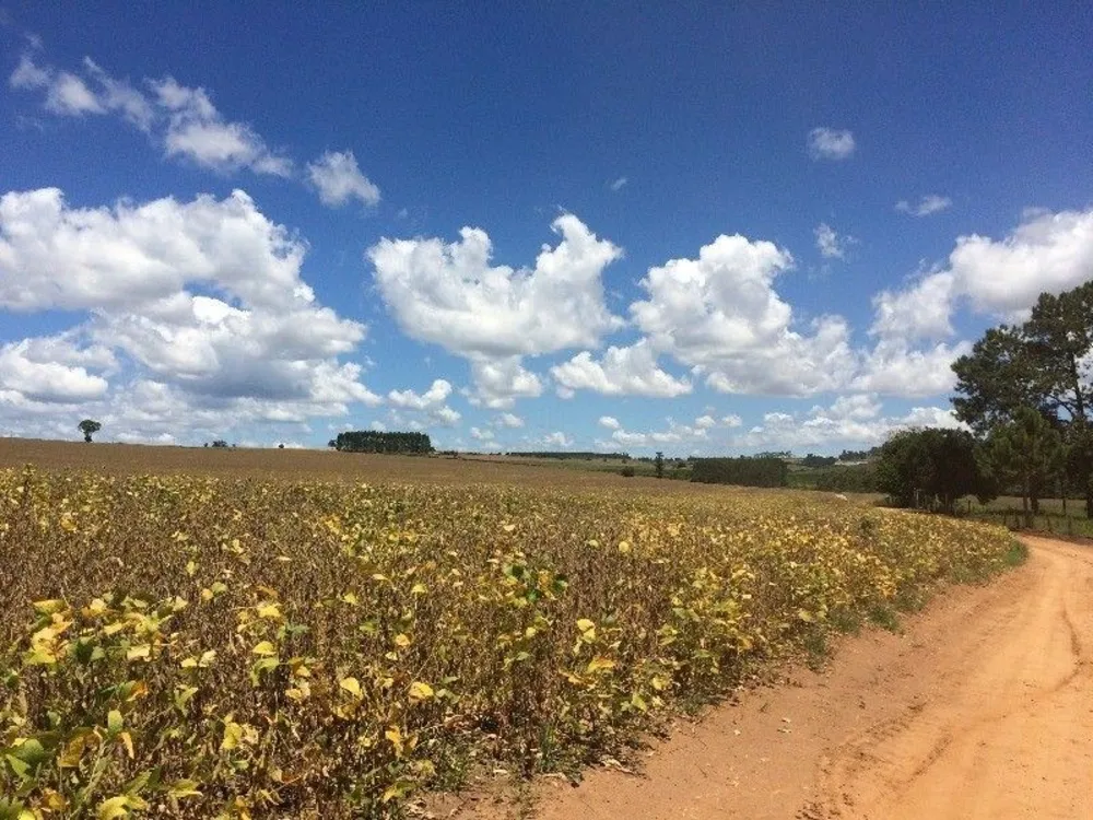Fazenda, 125 m² - Foto 2