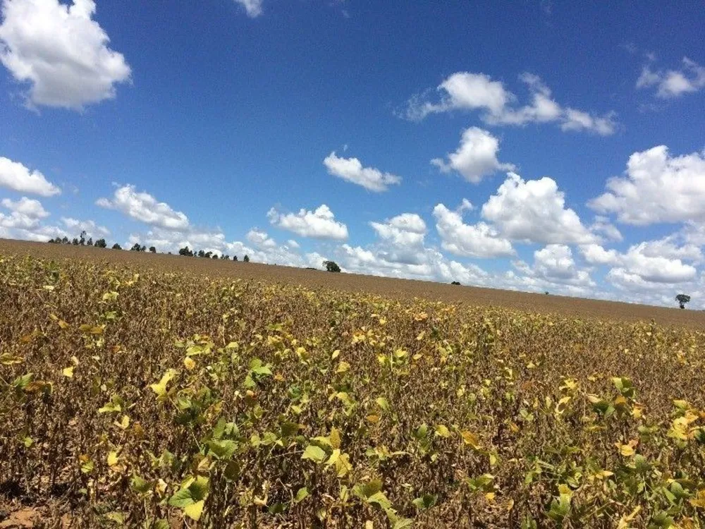 Fazenda, 125 m² - Foto 6