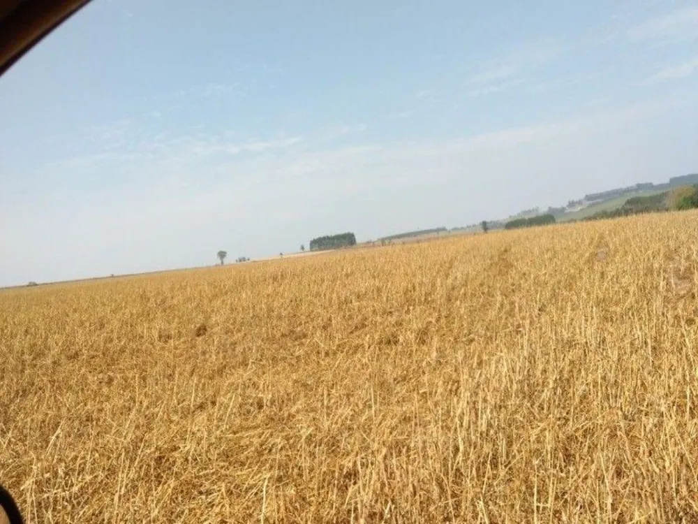 Fazenda, 125 m² - Foto 9