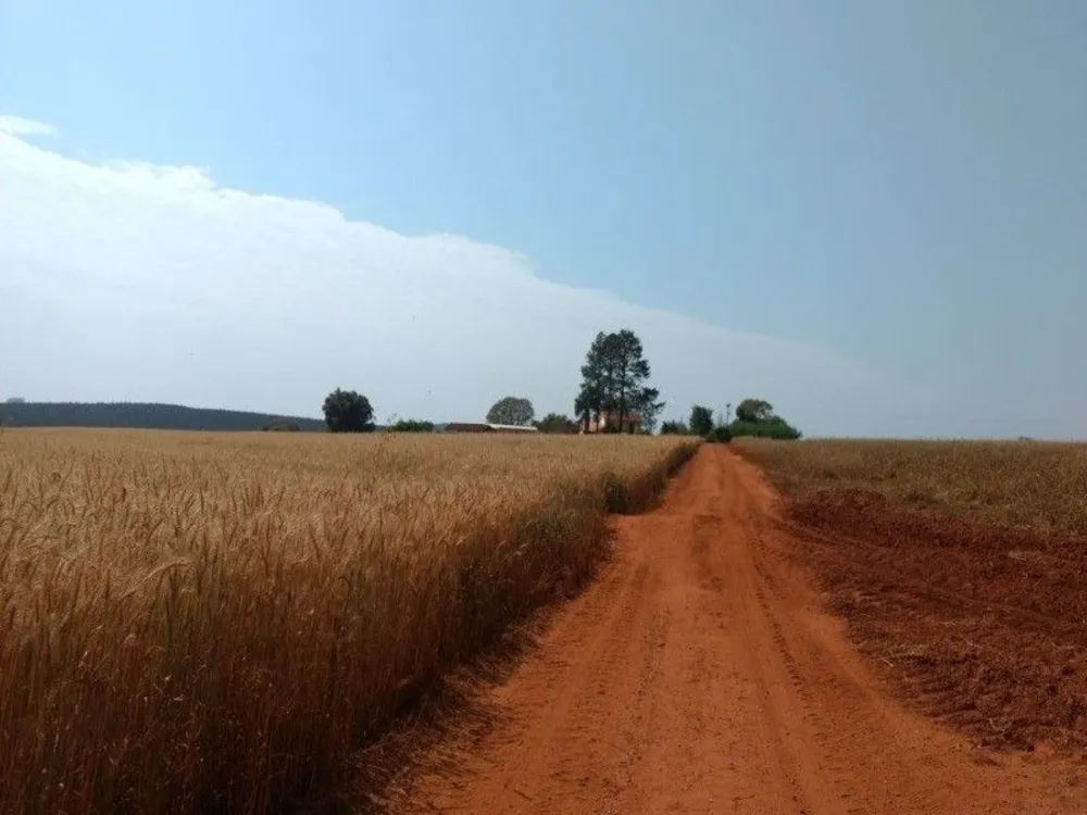Fazenda, 125 m² - Foto 10