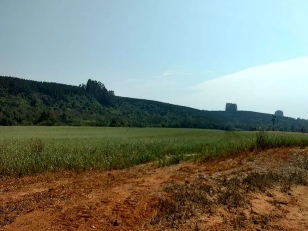 Fazenda, 125 m² - Foto 7