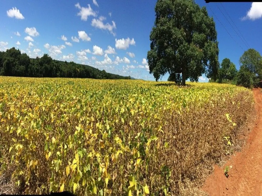 Fazenda, 125 m² - Foto 1