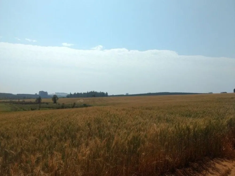 Fazenda, 125 m² - Foto 8