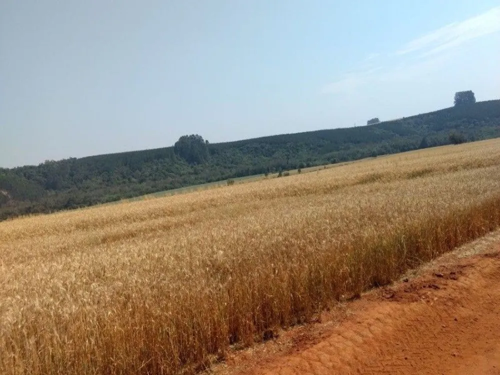 Fazenda, 125 m² - Foto 14