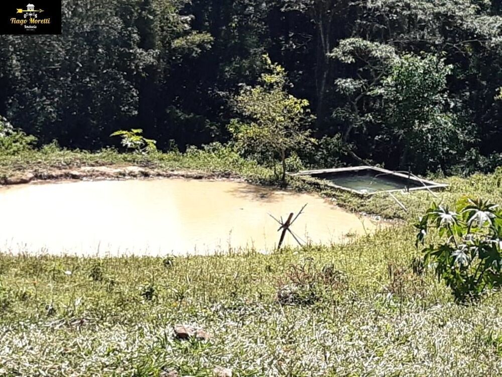 Sítio, 4 quartos, 4 m² - Foto 2