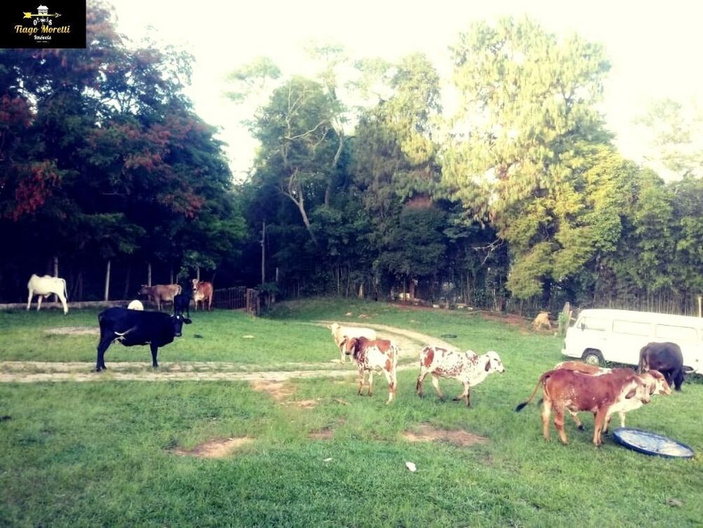 Sítio, 4 quartos, 4 m² - Foto 3