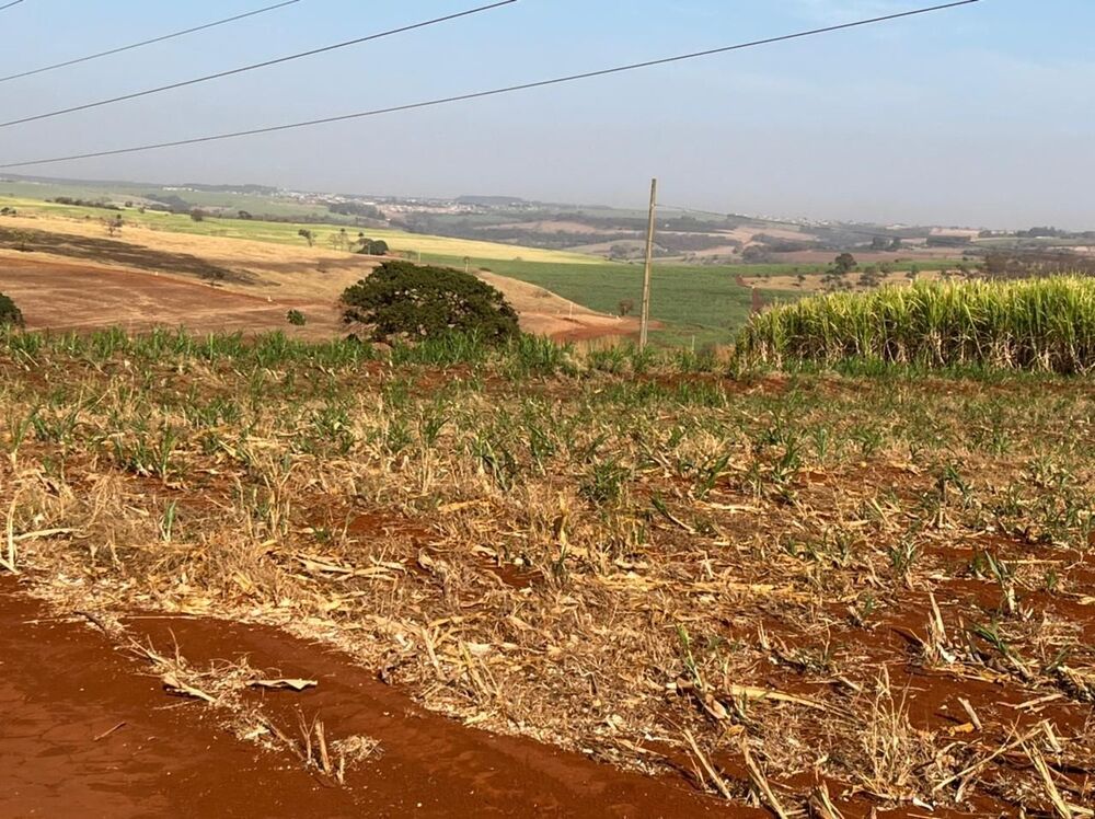 Fazenda à venda com 1 quarto, 2662000m² - Foto 1