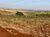 Fazenda, 266 hectares - Foto 1