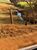 Fazenda, 266 hectares - Foto 3