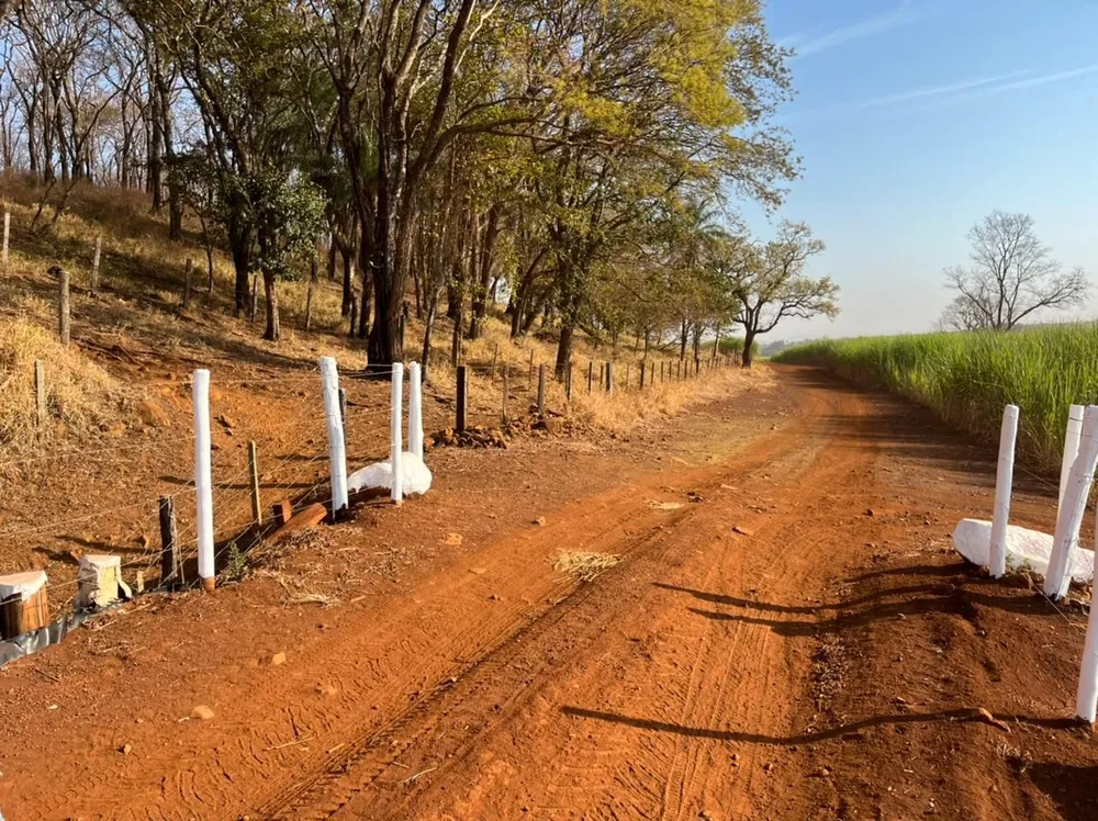 Fazenda, 266 hectares - Foto 10