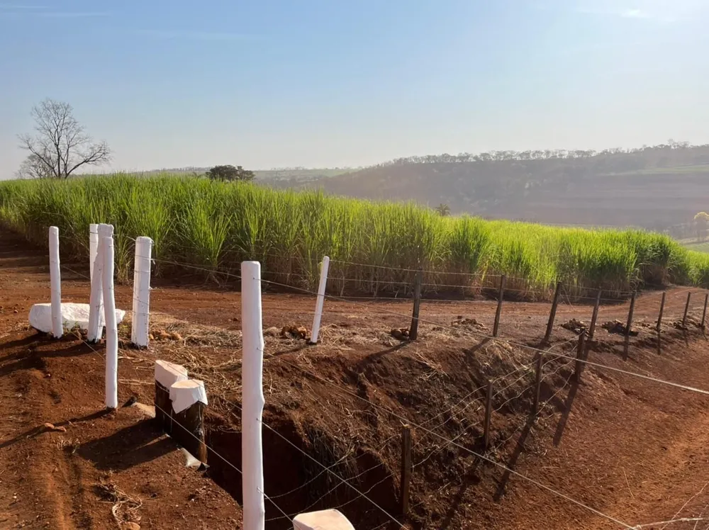 Fazenda, 266 hectares - Foto 12