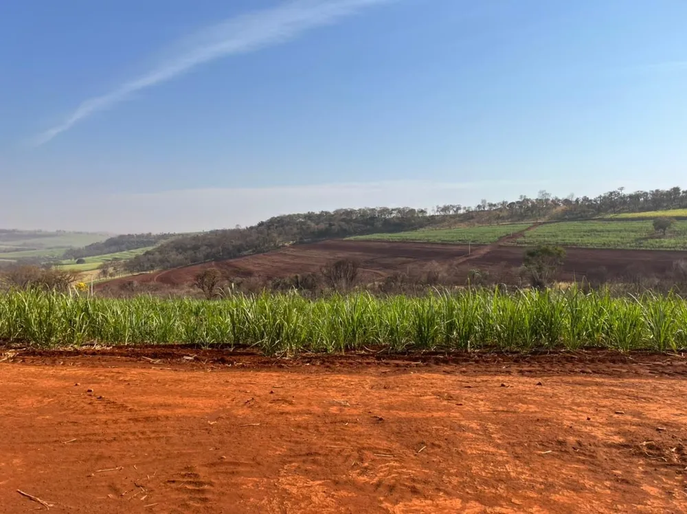 Fazenda, 266 hectares - Foto 3