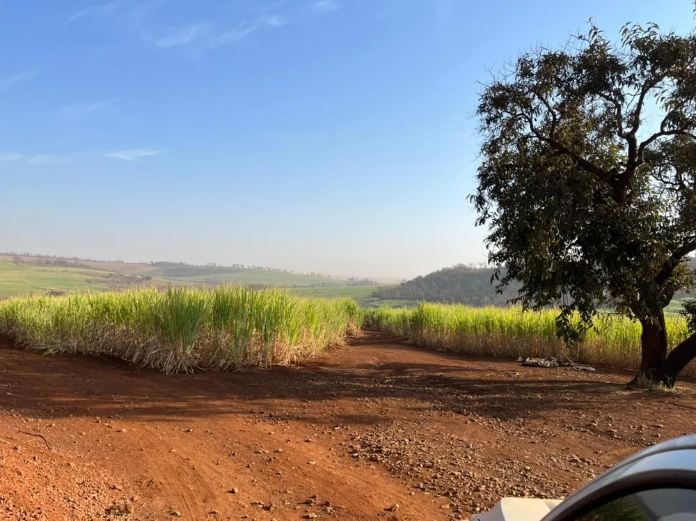 Fazenda, 266 hectares - Foto 14