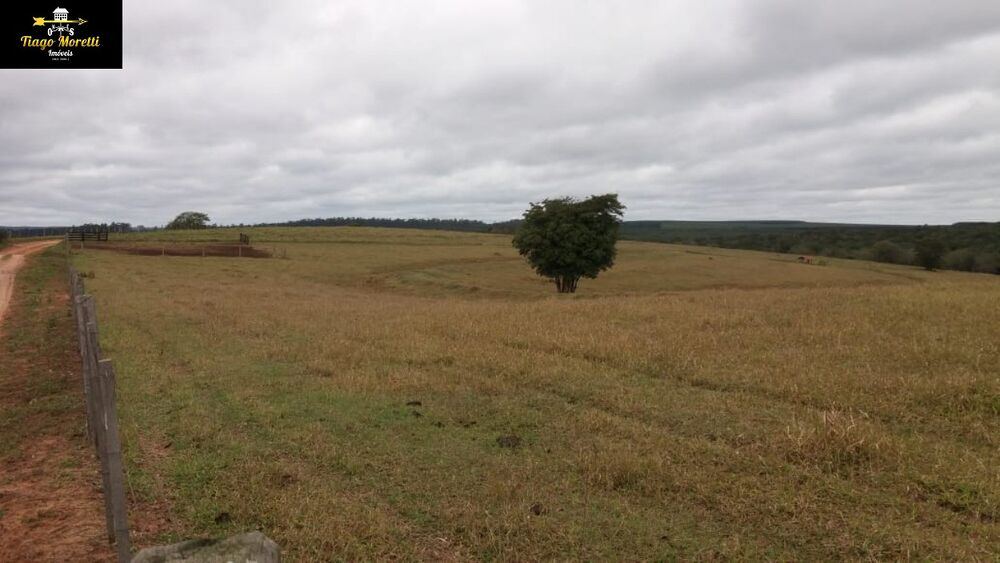 Fazenda à venda com 8 quartos - Foto 14