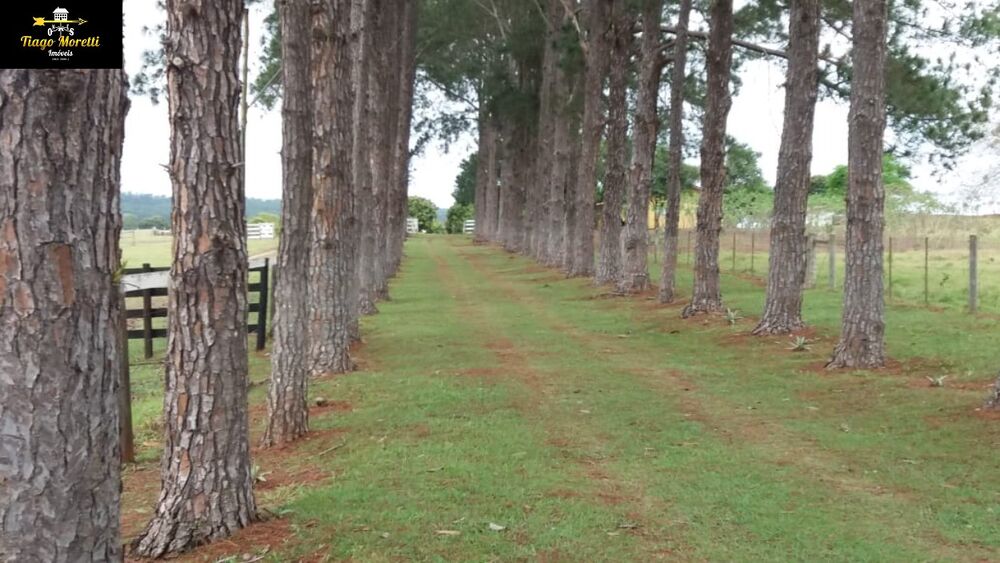 Fazenda à venda com 8 quartos - Foto 17