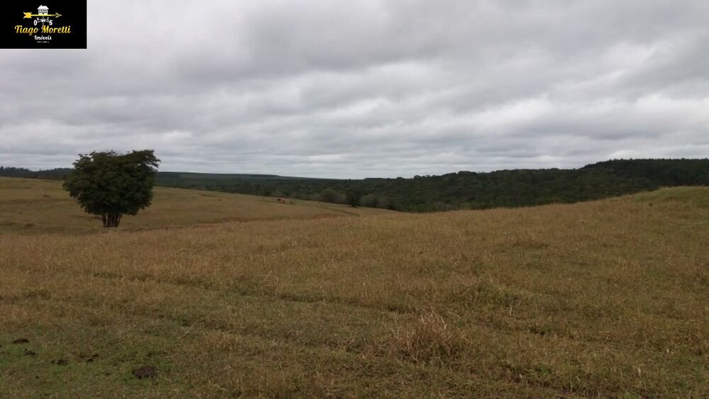Fazenda à venda com 8 quartos - Foto 9