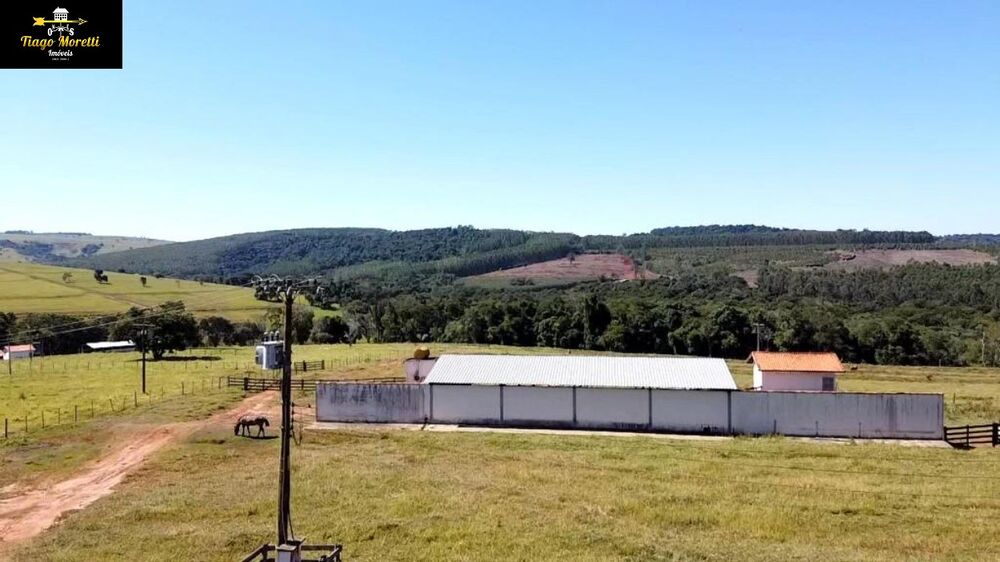 Fazenda à venda com 8 quartos - Foto 11