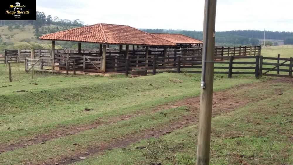 Fazenda à venda com 8 quartos - Foto 7