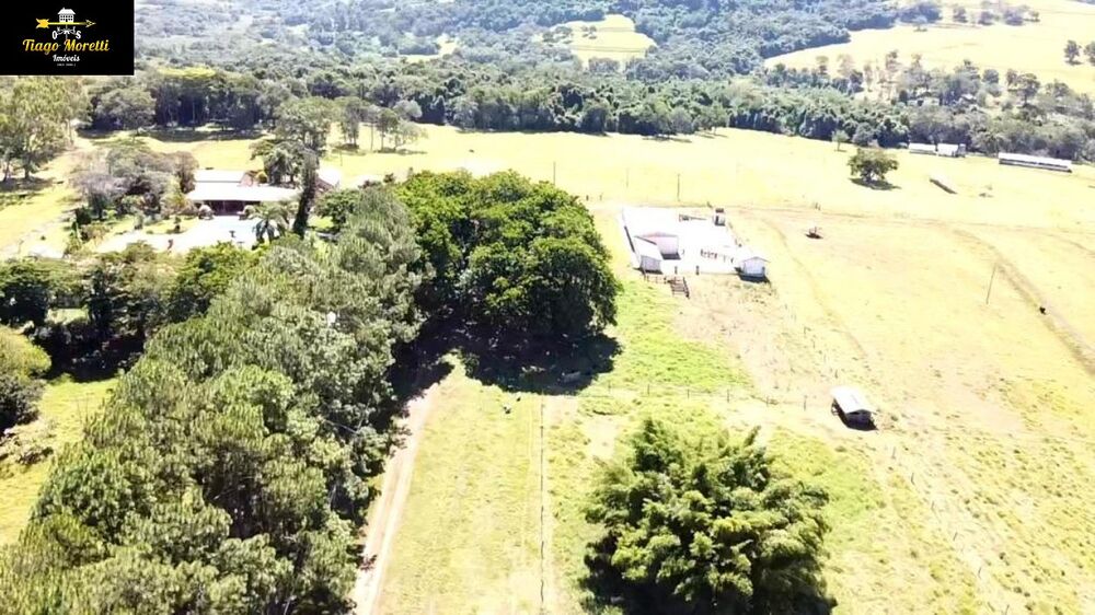 Fazenda à venda com 8 quartos - Foto 19