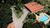 Fazenda-Sítio-Chácara, 8 quartos - Foto 2