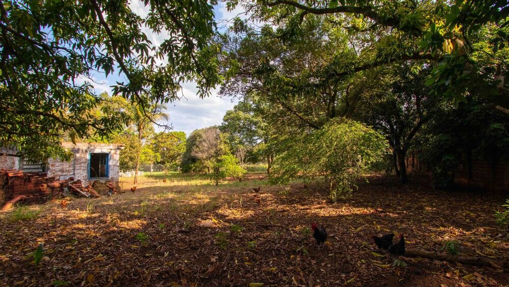 Chácara, 4 quartos, 5000 m² - Foto 11