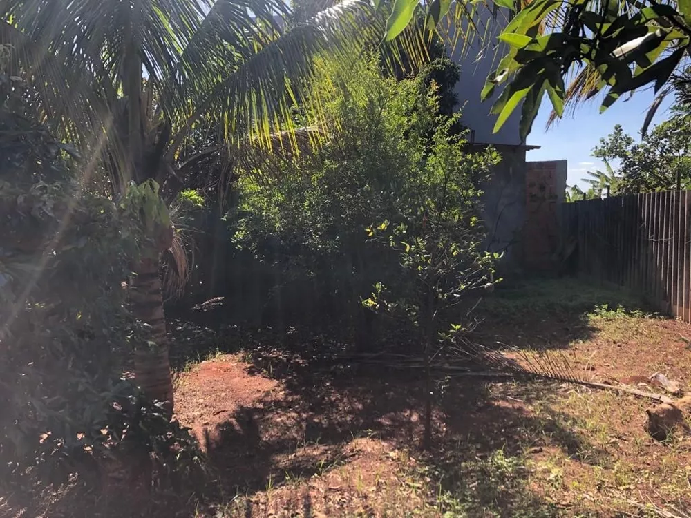 Chácara, 3 quartos, 700 m² - Foto 3