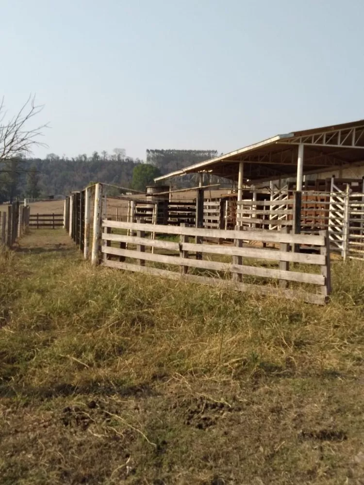 Sítio, 1 quarto, 92 hectares - Foto 2