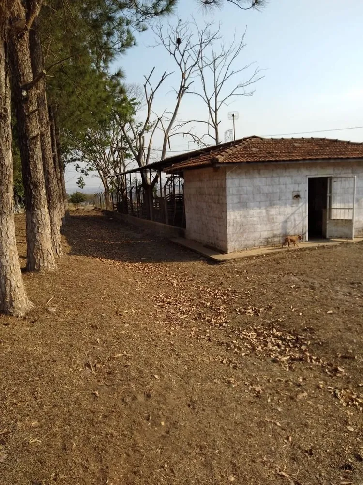 Sítio, 1 quarto, 92 hectares - Foto 11