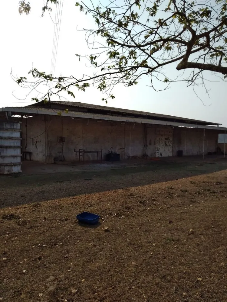Sítio, 1 quarto, 92 hectares - Foto 12