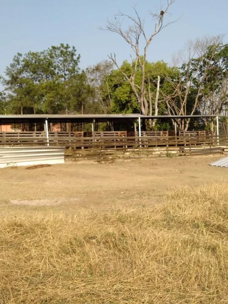 Sítio, 1 quarto, 92 hectares - Foto 1