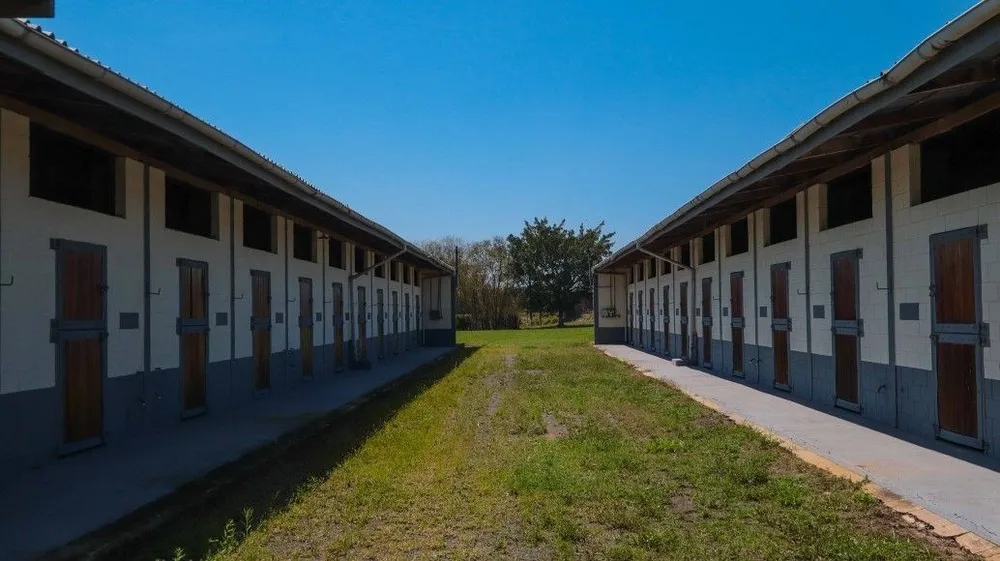 Sítio, 53 hectares - Foto 11