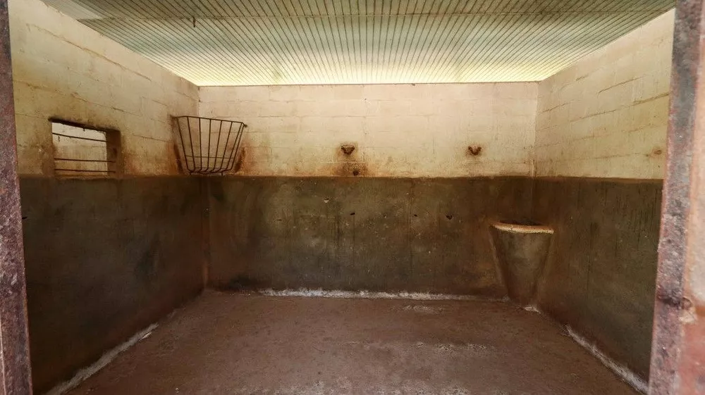 Fazenda, 53 hectares - Foto 2