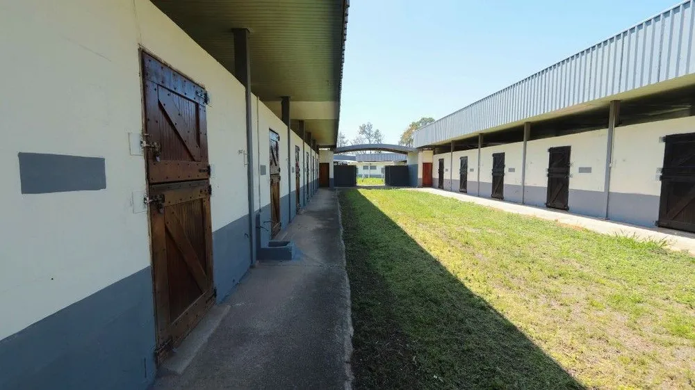 Sítio, 53 hectares - Foto 10