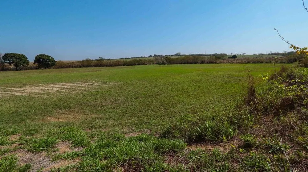 Fazenda, 53 hectares - Foto 10