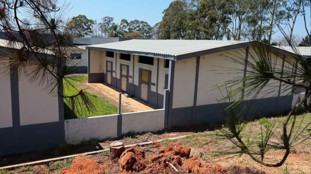 Fazenda, 53 hectares - Foto 6