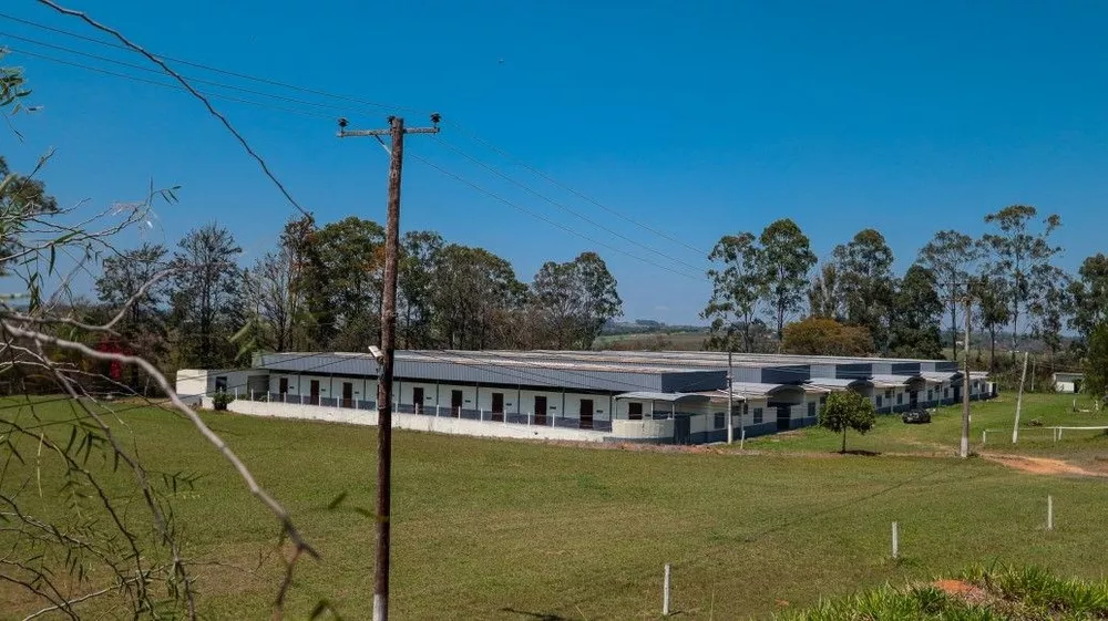 Fazenda, 53 hectares - Foto 1
