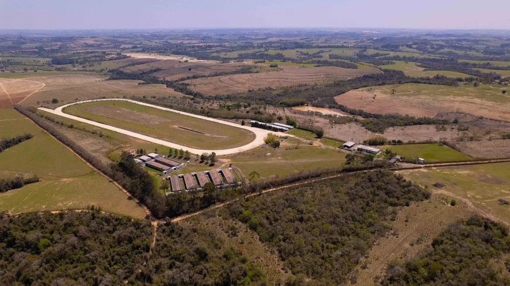 Fazenda, 53 hectares - Foto 9