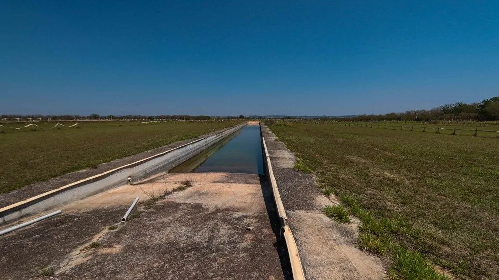 Fazenda, 53 hectares - Foto 11