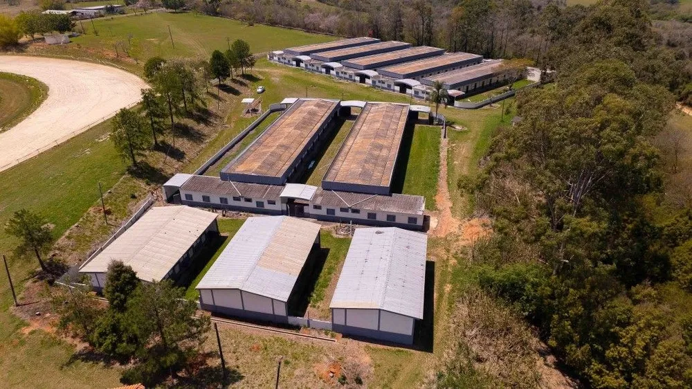 Sítio, 53 hectares - Foto 6