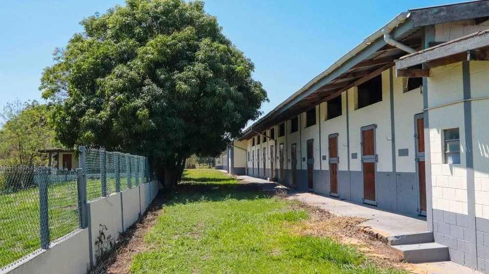 Fazenda, 53 hectares - Foto 8